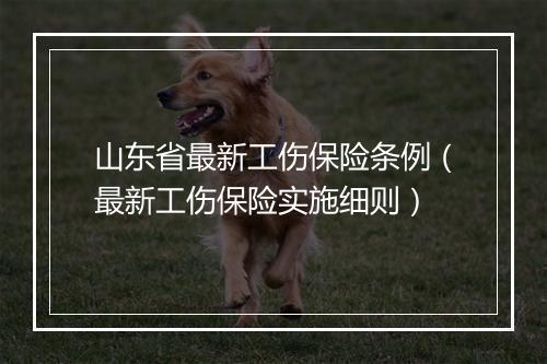 山东省最新工伤保险条例（最新工伤保险实施细则）