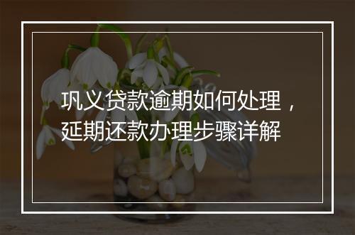 巩义贷款逾期如何处理，延期还款办理步骤详解