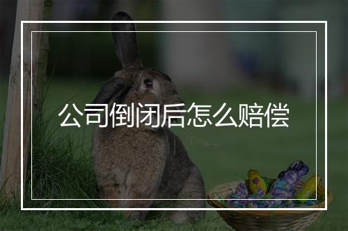 公司倒闭后怎么赔偿