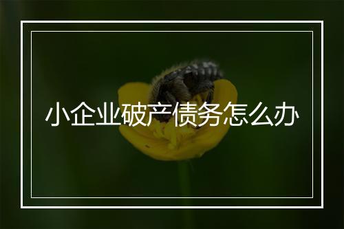 小企业破产债务怎么办