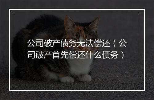 公司破产债务无法偿还（公司破产首先偿还什么债务）