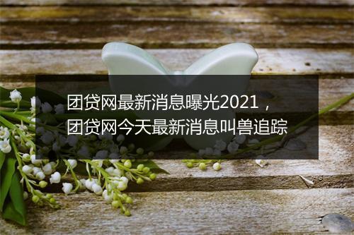 团贷网最新消息曝光2021，团贷网今天最新消息叫兽追踪