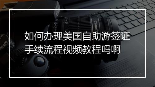 如何办理美国自助游签证手续流程视频教程吗啊