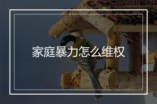 家庭暴力怎么维权