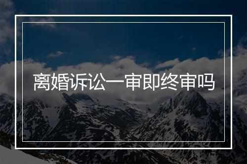 离婚诉讼一审即终审吗
