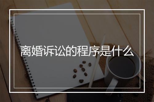 离婚诉讼的程序是什么