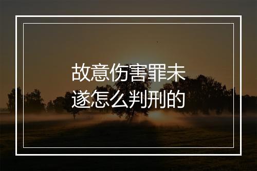 故意伤害罪未遂怎么判刑的