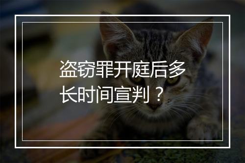 盗窃罪开庭后多长时间宣判？