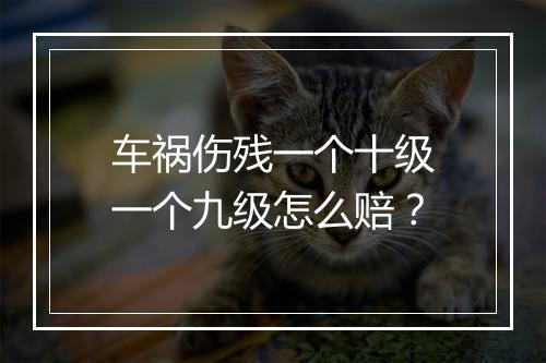 车祸伤残一个十级一个九级怎么赔？