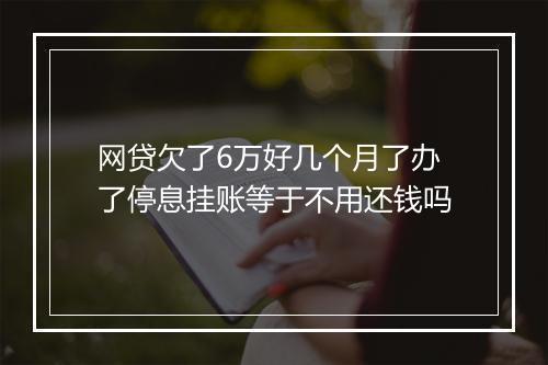 网贷欠了6万好几个月了办了停息挂账等于不用还钱吗