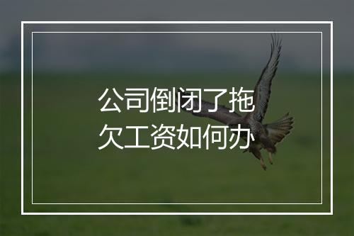 公司倒闭了拖欠工资如何办