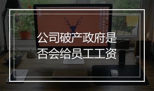 公司破产政府是否会给员工工资