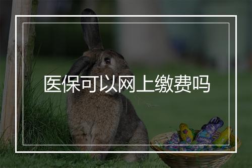 医保可以网上缴费吗