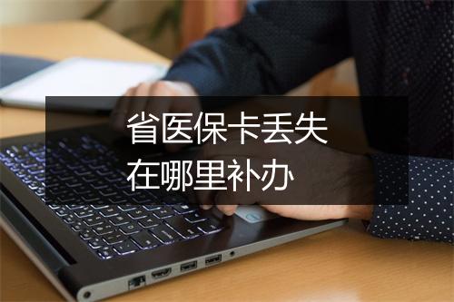省医保卡丢失在哪里补办