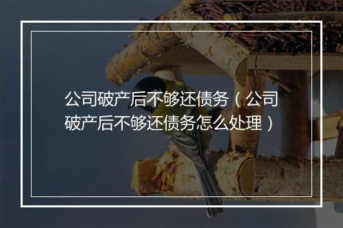 公司破产后不够还债务（公司破产后不够还债务怎么处理）