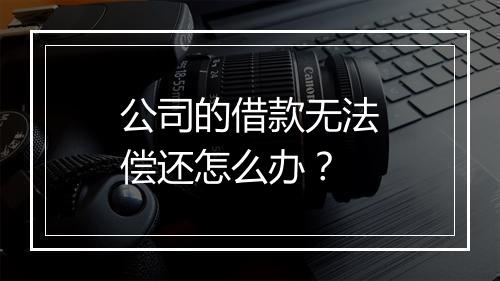 公司的借款无法偿还怎么办？