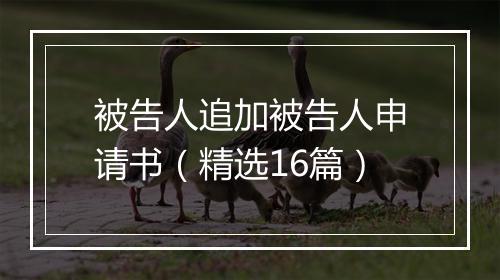 被告人追加被告人申请书（精选16篇）