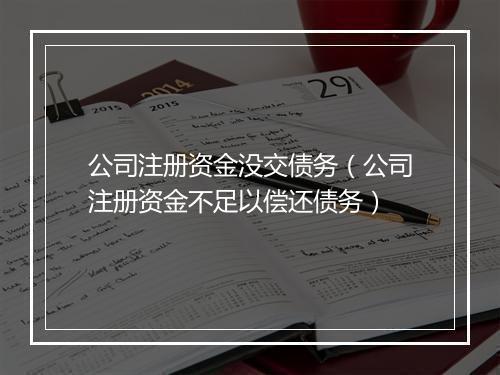 公司注册资金没交债务（公司注册资金不足以偿还债务）