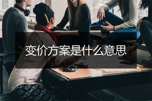 变价方案是什么意思