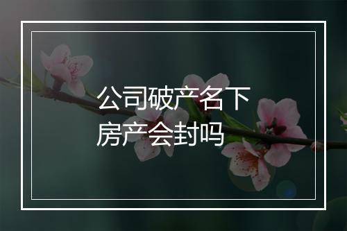 公司破产名下房产会封吗