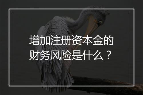 增加注册资本金的财务风险是什么？