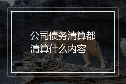 公司债务清算都清算什么内容