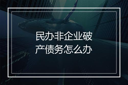 民办非企业破产债务怎么办