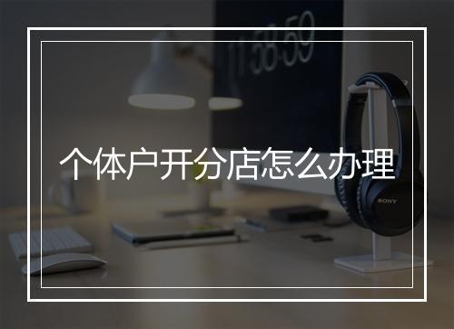 个体户开分店怎么办理