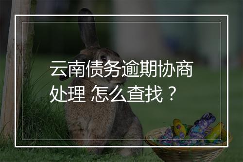 云南债务逾期协商处理 怎么查找？