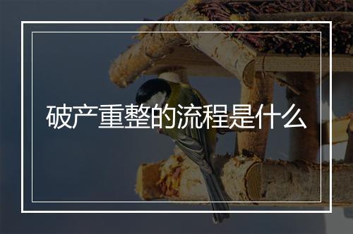 破产重整的流程是什么