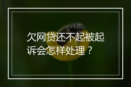 欠网贷还不起被起诉会怎样处理？