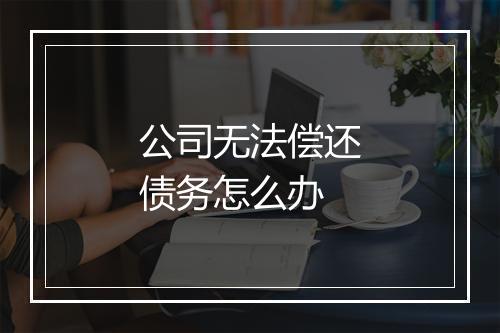 公司无法偿还债务怎么办