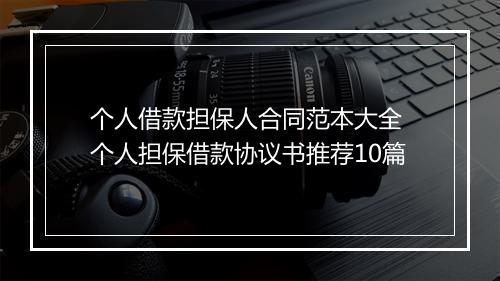 个人借款担保人合同范本大全 个人担保借款协议书推荐10篇