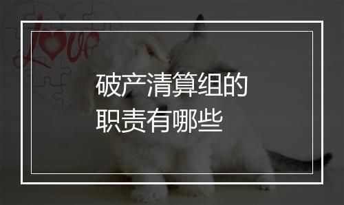 破产清算组的职责有哪些