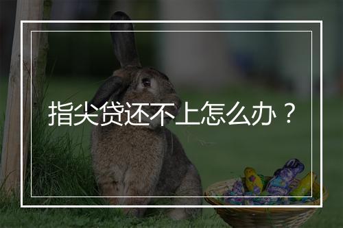 指尖贷还不上怎么办？