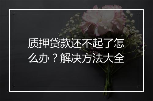 质押贷款还不起了怎么办？解决方法大全
