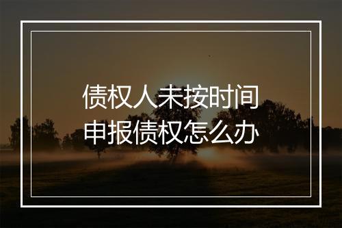 债权人未按时间申报债权怎么办