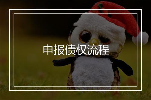 申报债权流程