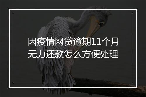 因疫情网贷逾期11个月无力还款怎么方便处理