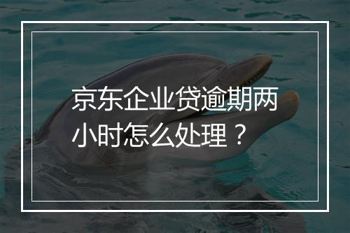 京东企业贷逾期两小时怎么处理？