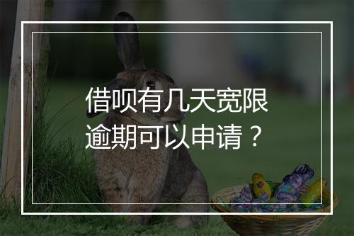 借呗有几天宽限逾期可以申请？