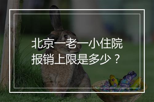 北京一老一小住院报销上限是多少？