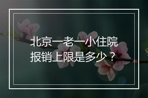 北京一老一小住院报销上限是多少？