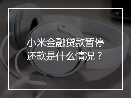 小米金融贷款暂停还款是什么情况？