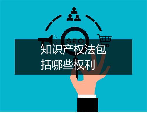 知识产权法包括哪些权利