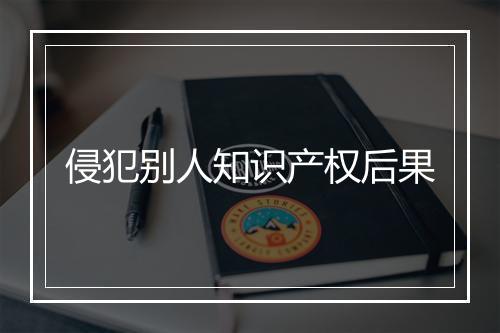 侵犯别人知识产权后果