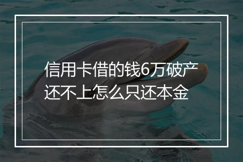 信用卡借的钱6万破产还不上怎么只还本金