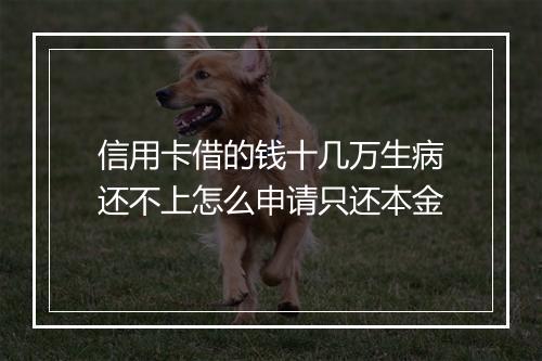 信用卡借的钱十几万生病还不上怎么申请只还本金