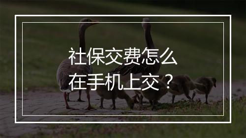 社保交费怎么在手机上交？