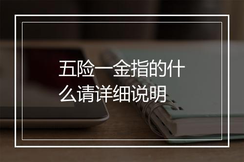 五险一金指的什么请详细说明